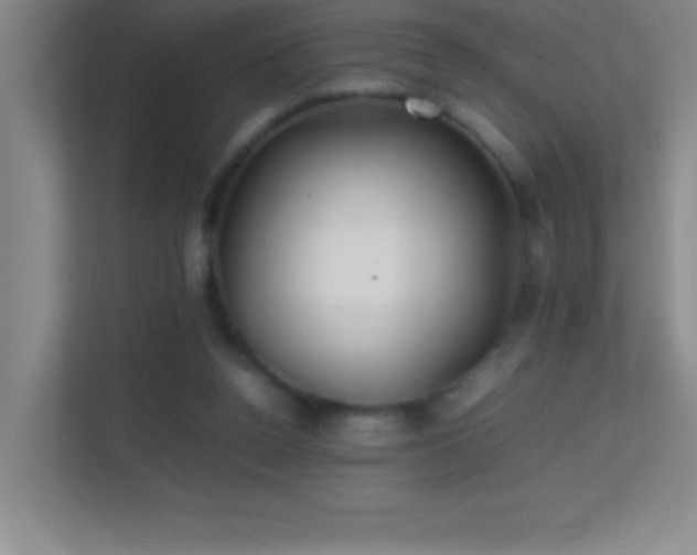 X0000113870160200909241339