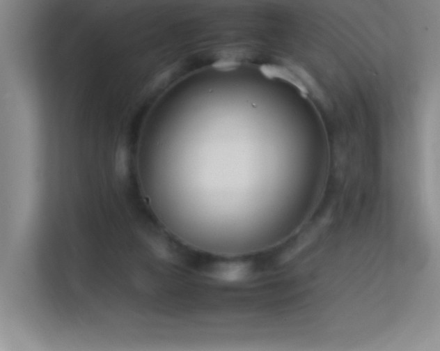 X0000113870161200909241339