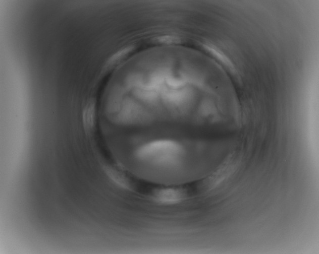 X0000113870163200909241339