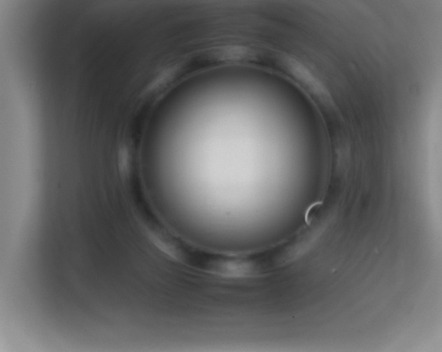 X0000113870165200909241339