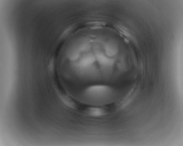 X0000113870167200909241339