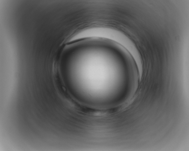 X0000113870168200909241339