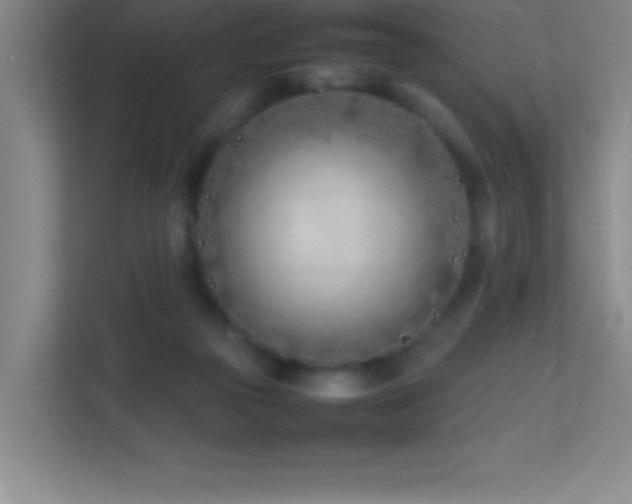 X0000113870169200909241339