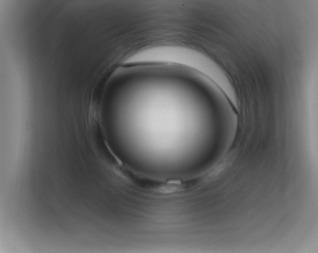 X0000113870172200909241339