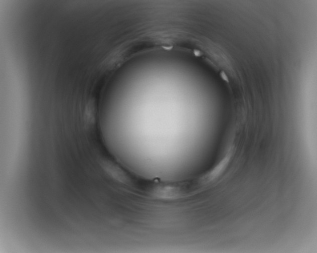 X0000113870174200909241339