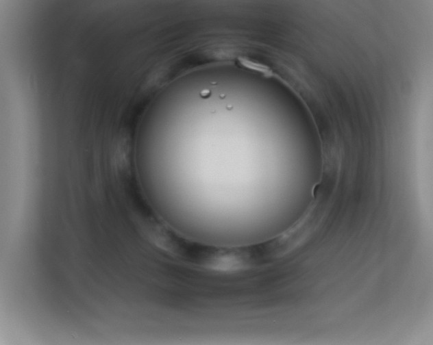 X0000113870175200909241339