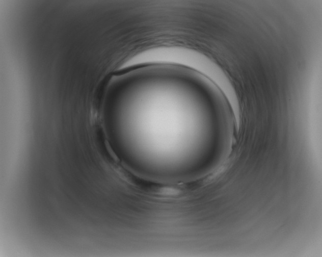 X0000113870176200909241339