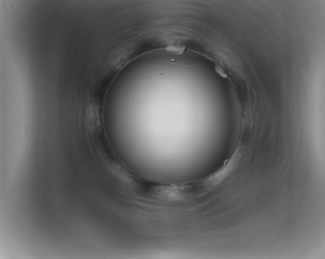 X0000113870182200909241339