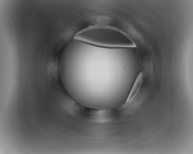 X0000113870184200909241339