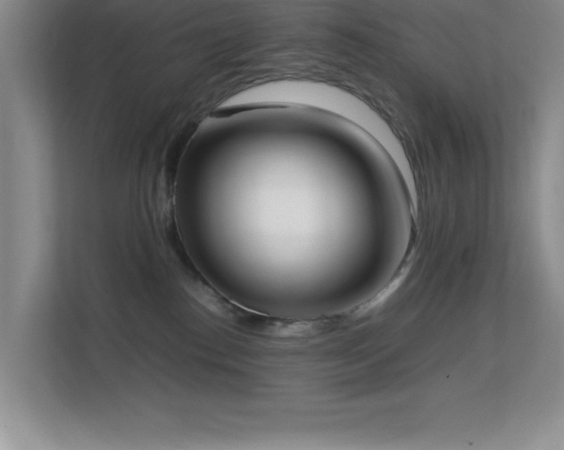 X0000113870186200909241339