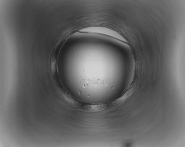 X0000113870188200909241339