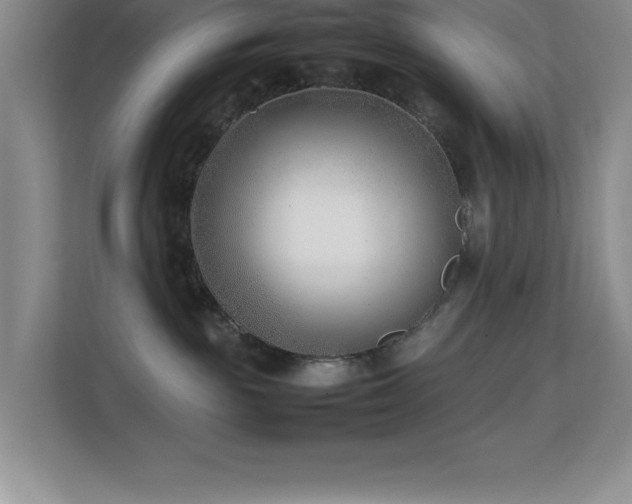 X0000113870189200909241339