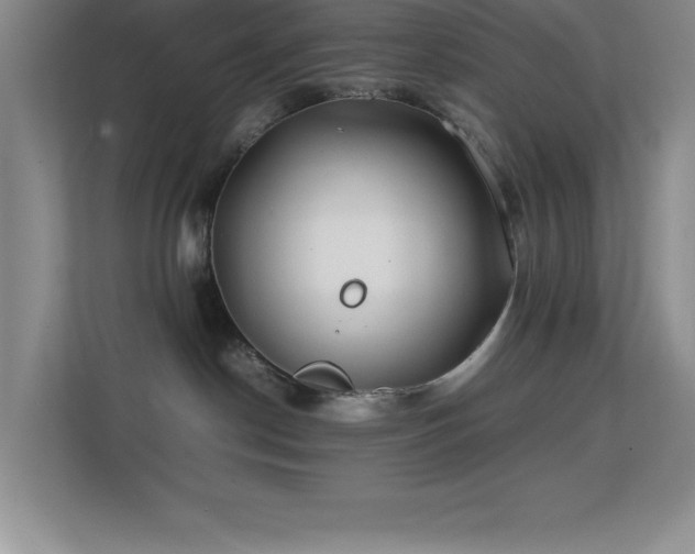 X0000113870190200909241339