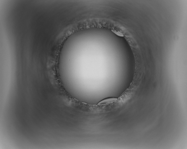 X0000113870192200909241339