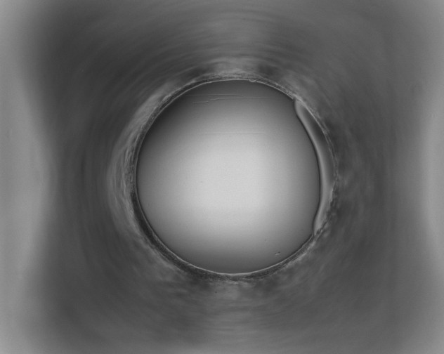 X0000113870193200909241339