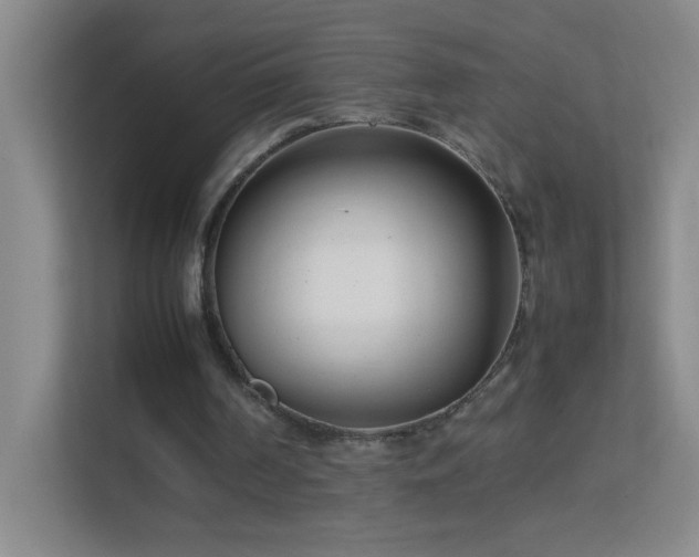 X0000113870194200909241339