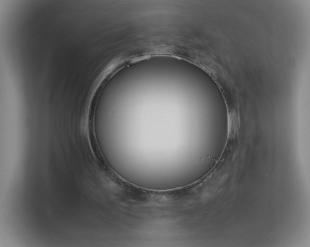 X0000113870195200909241339