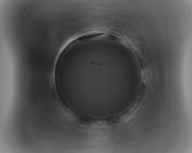 X0000113870196200909241339