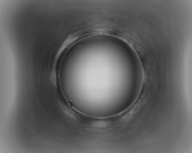 X0000113870198200909241339