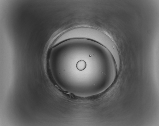 X0000113870199200909241339