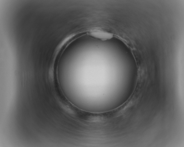 X0000113870200200909241339