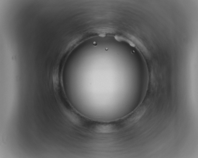 X0000113870202200909241339