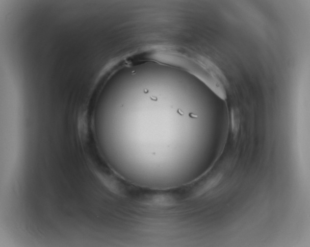 X0000113870204200909241339