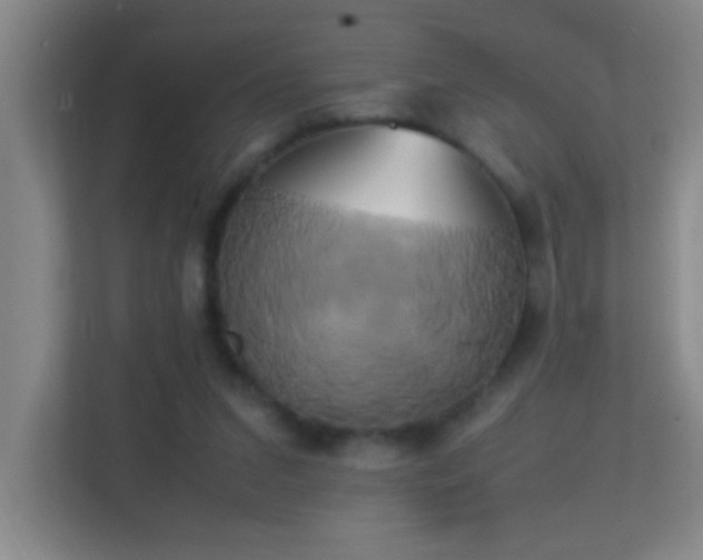 X0000113870207200909241339