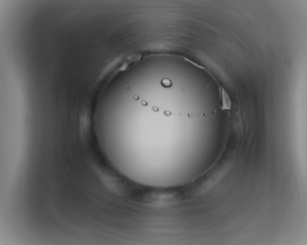 X0000113870208200909241339