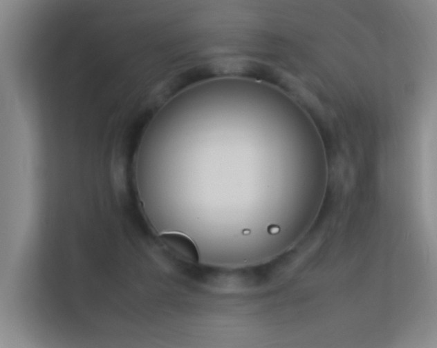 X0000113870209200909241339