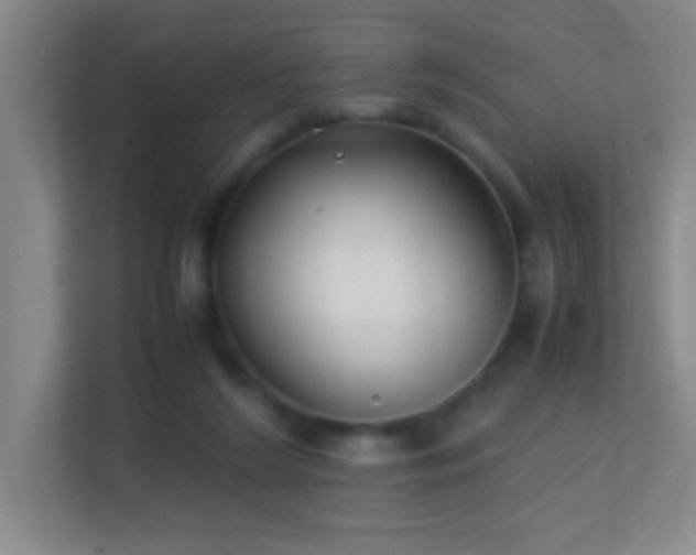 X0000113870212200909241338