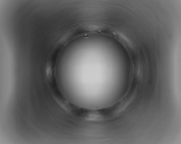 X0000113870214200909241338