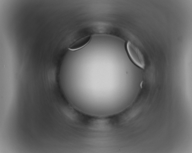 X0000113870217200909241338