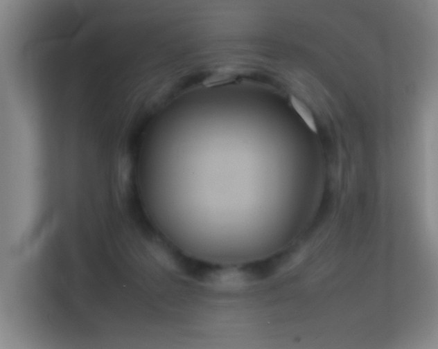 X0000113870219200909241338