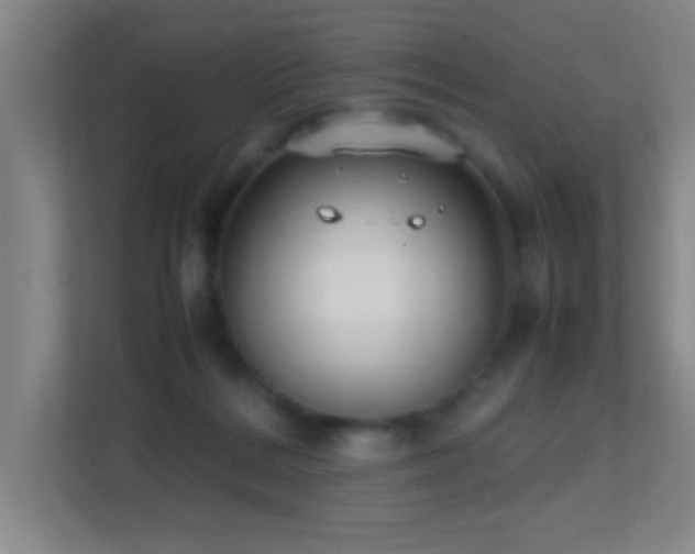 X0000113870220200909241338