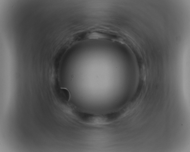 X0000113870223200909241338