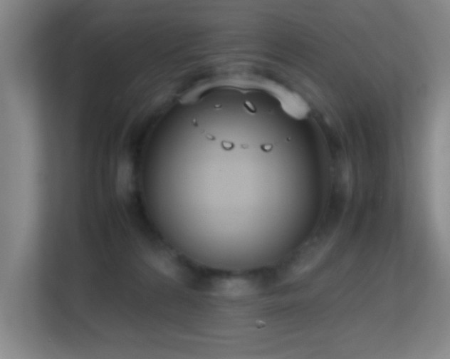 X0000113870224200909241338