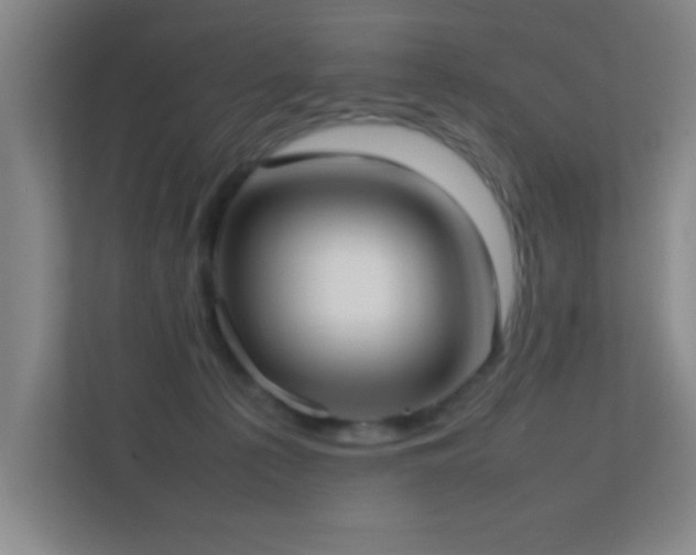 X0000113870225200909241338