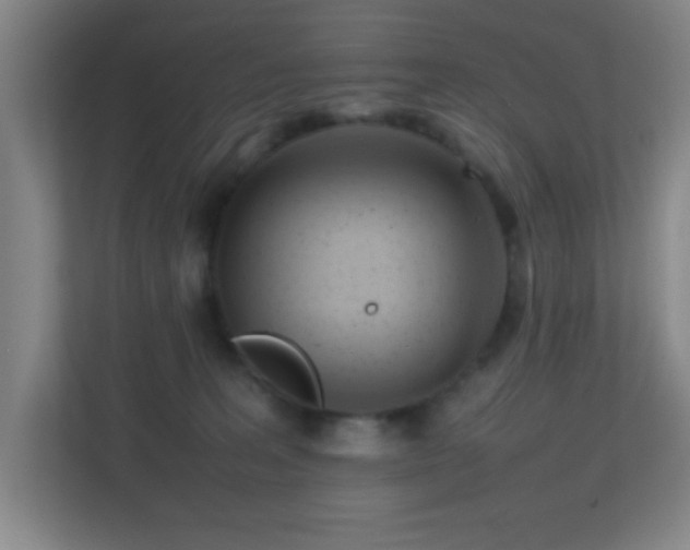 X0000113870227200909241338