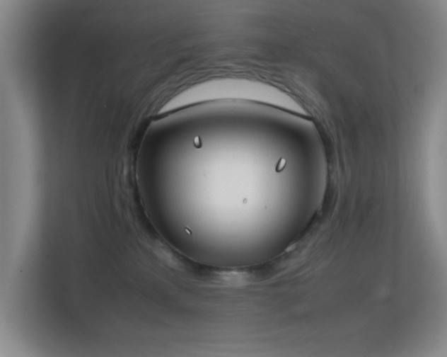 X0000113870233200909241338