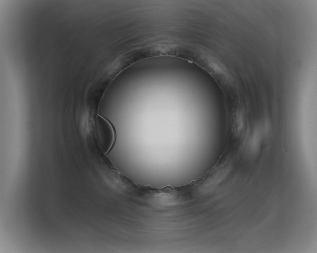 X0000113870236200909241338