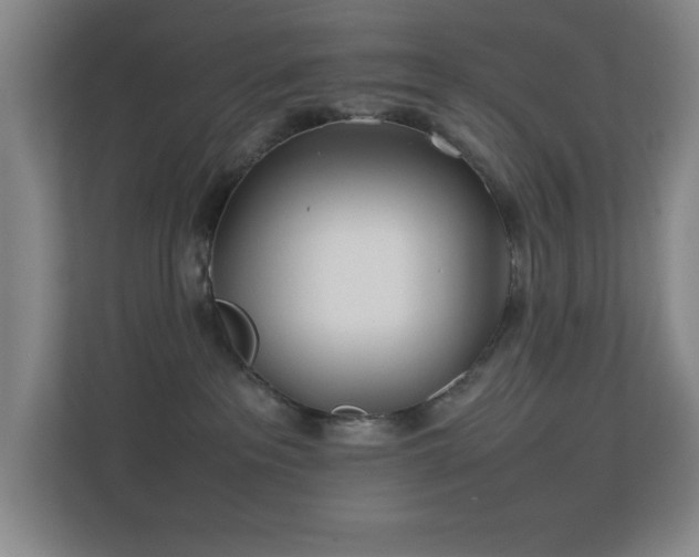 X0000113870237200909241338