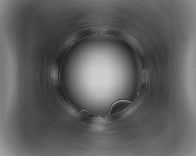 X0000113870238200909241338