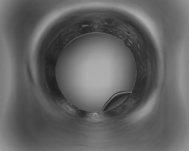 X0000113870239200909241338