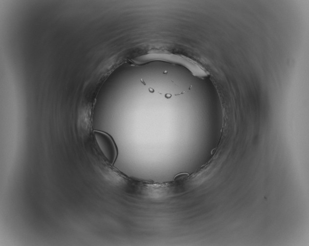 X0000113870240200909241338