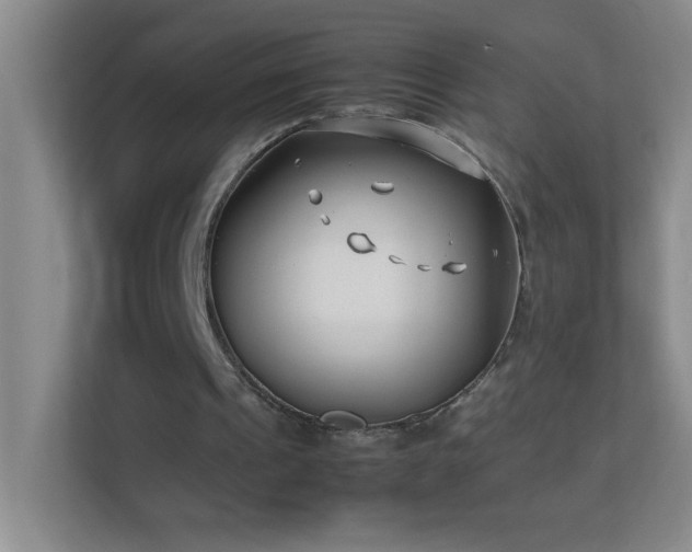 X0000113870241200909241337