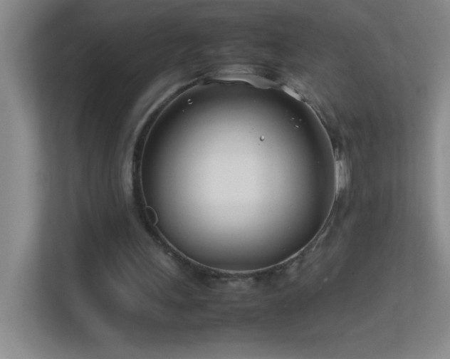 X0000113870243200909241338