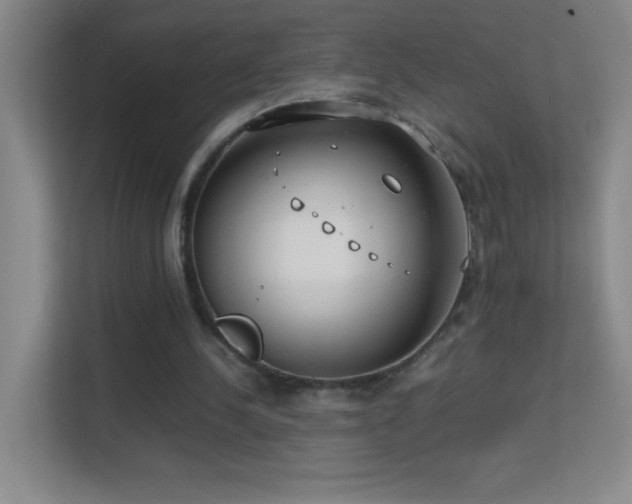 X0000113870244200909241338