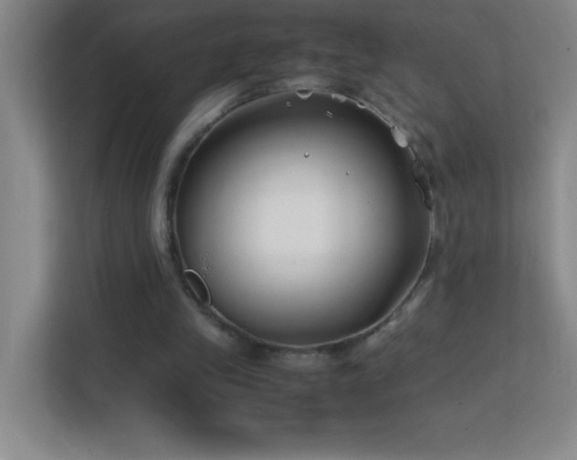 X0000113870245200909241338