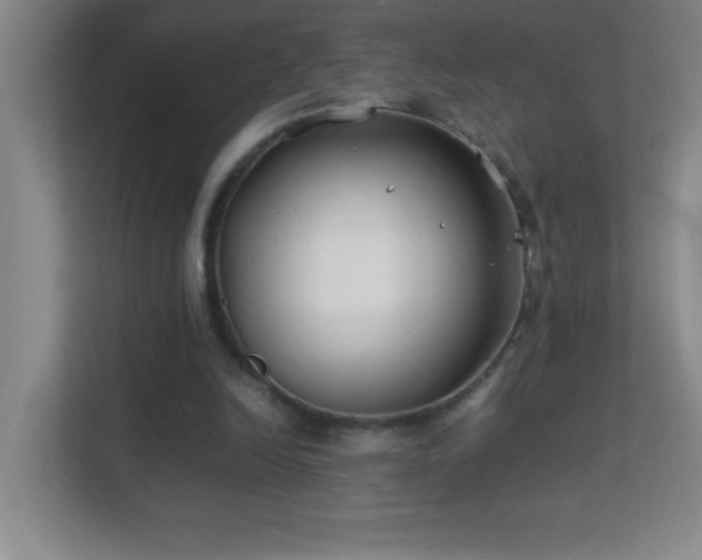 X0000113870246200909241338